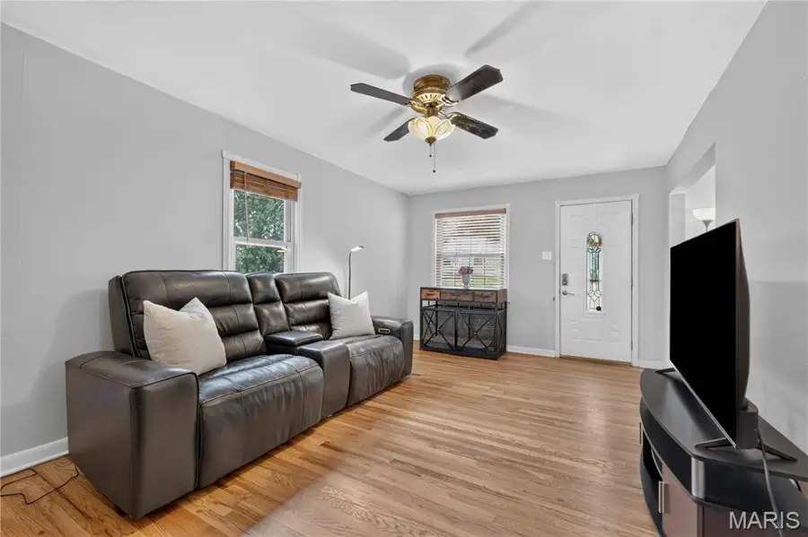 1334 San Jacinto Court, Saint Louis, MO 63139 - #3
