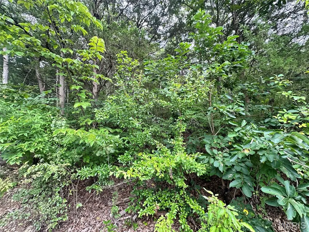 Lot 34 Lakeshore Drive, Owensville, MO 65066 - #1
