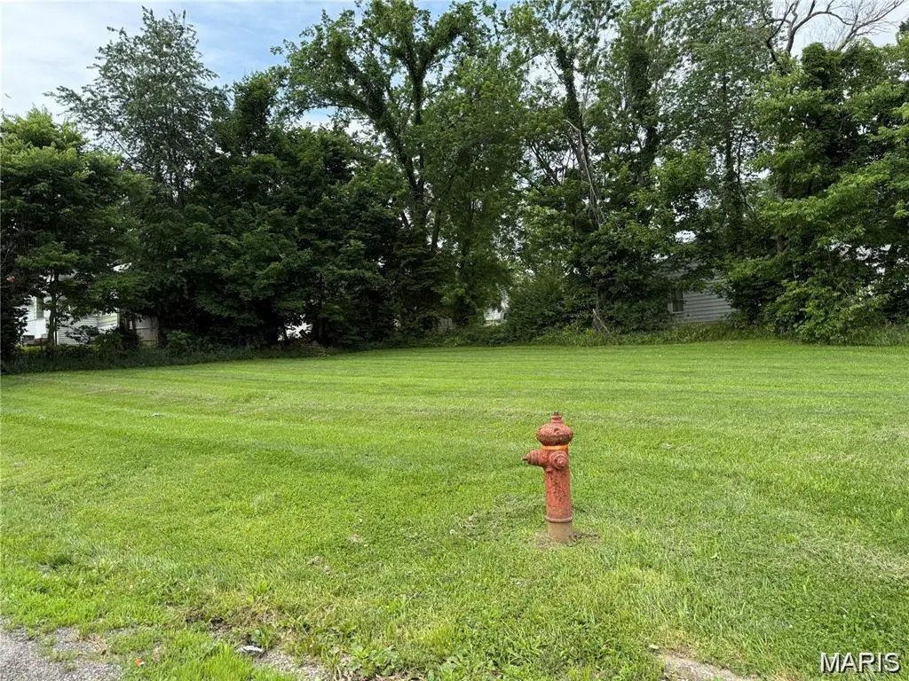 1106 W Gallatin Street, Vandalia, IL 62471 - #1