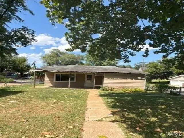 9501 Kirchner Avenue, Saint Louis, MO 63125 - #1
