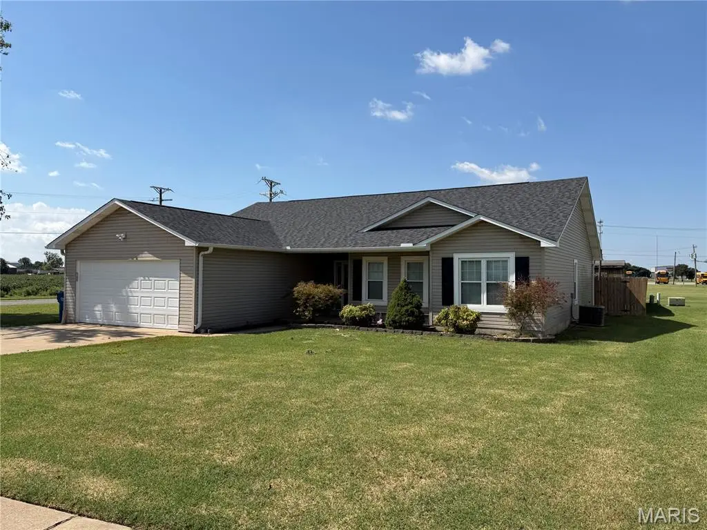 1102 Sequoyah Avenue, New Madrid, MO 63869 - #1
