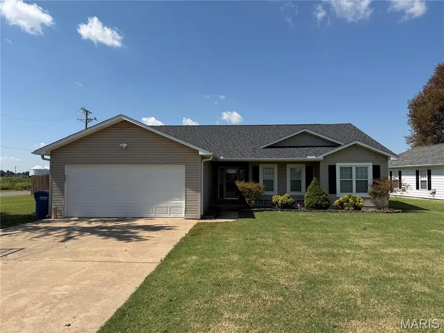 1102 Sequoyah Avenue, New Madrid, MO 63869 - #3