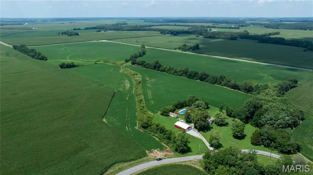 XXX Elevator Road, Walshville, IL 62091 - #1