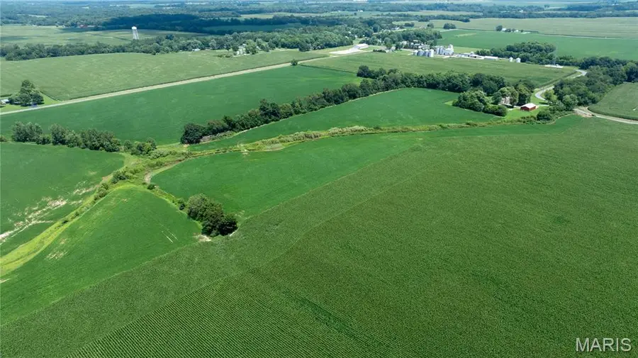XXX Elevator Road, Walshville, IL 62091 - #3