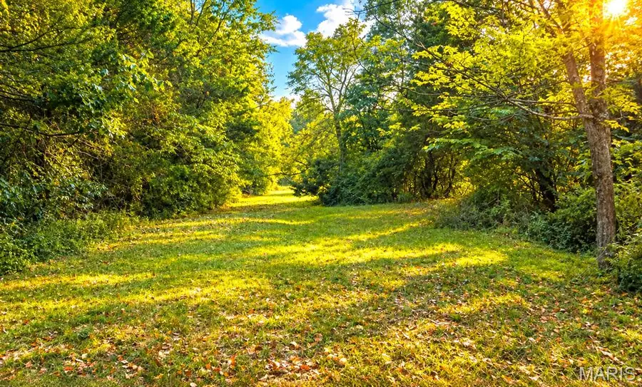 000 Willow Creek Road Lot 2, Union, MO 63084 - #3