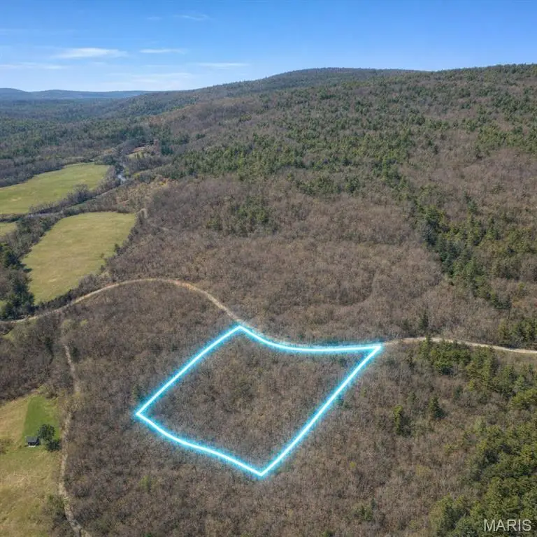 Off Cr 124, Annapolis, MO 63620 - #3