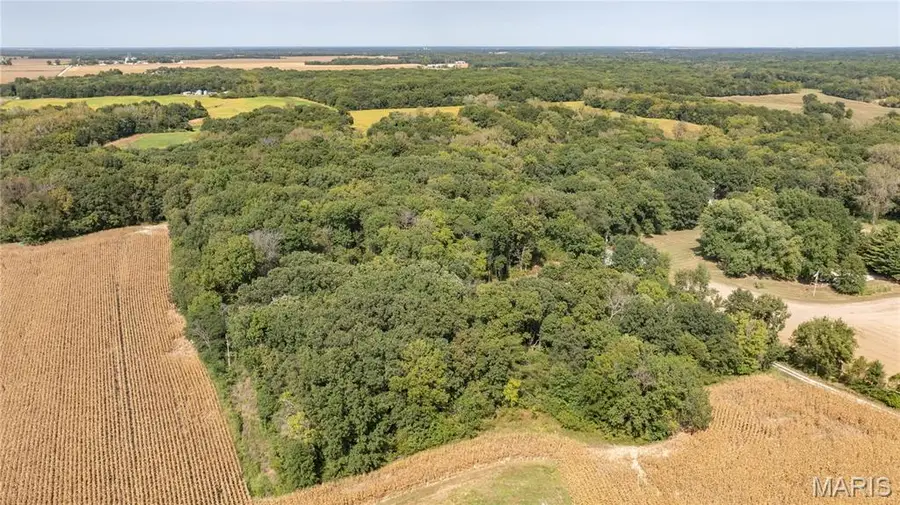 1468 F S Road, Medora, IL 62063 - #3