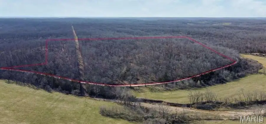 0000 Red Wing Road, Waynesville, MO 65583 - #2