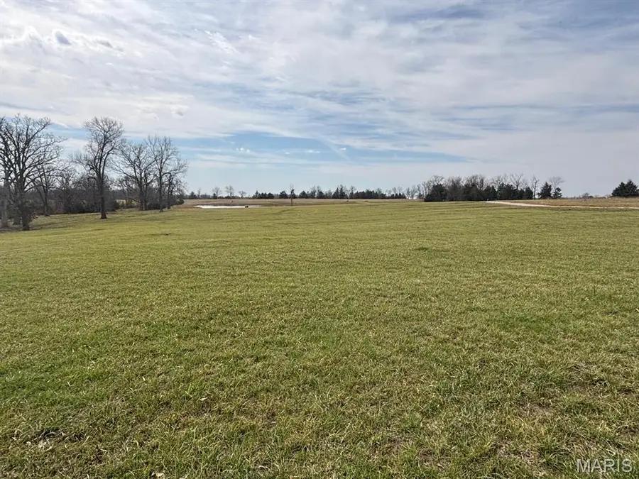 3 & 10 Turkey Roost Trail, Monroe City, MO 63456 - #2