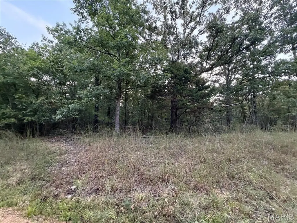 0 Bcr 838, Marble Hill, MO 63764 - #1
