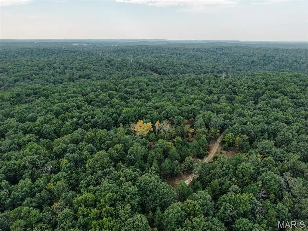 250.96 +/- Delbridge Road, Potosi, MO 63664 - #1
