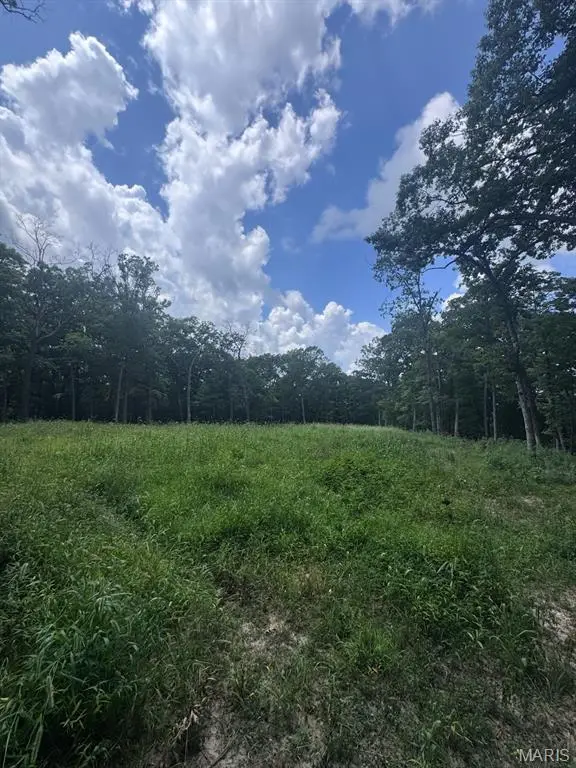 7919 County Road 4055, Auxvasse, MO 65069 - #2