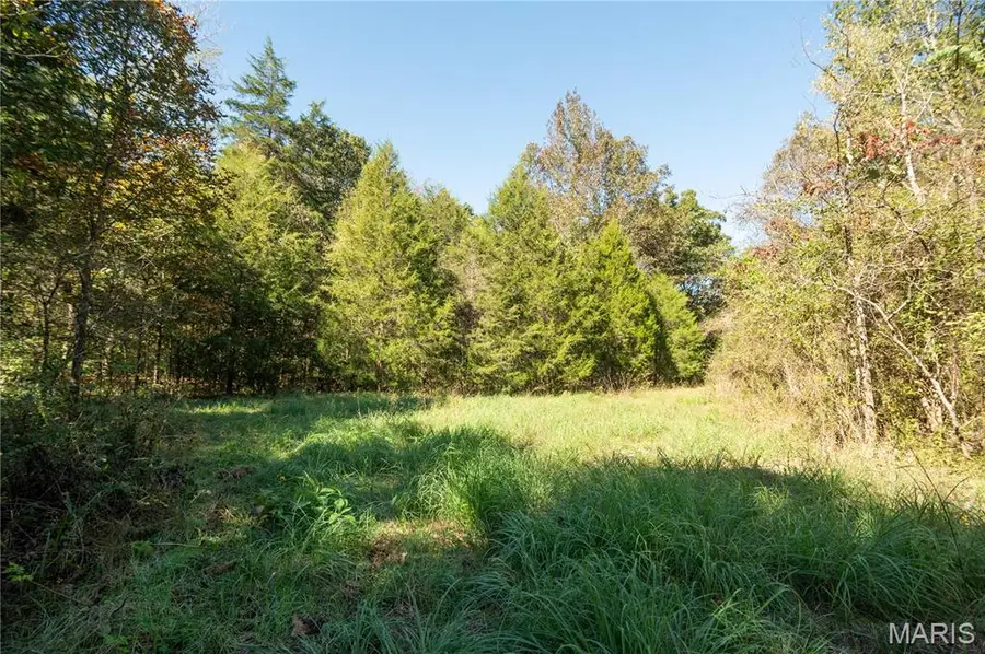 123 Bush Drive, Zalma, MO 63787 - #3