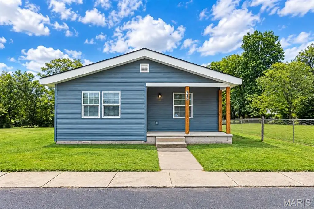 230 Alabama Street, Sikeston, MO 63801 - #1