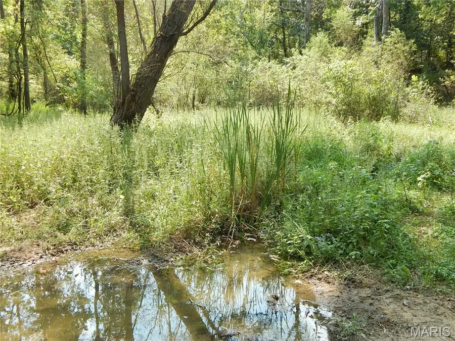 0 Joachim Creek, Herculaneum, MO 63070 - #3
