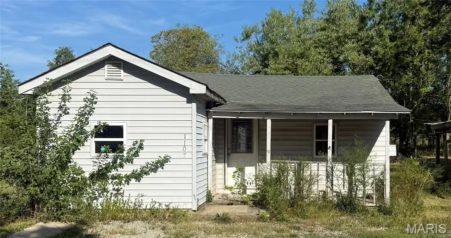 1107 Willow Street, Fredericktown, MO 63645 - #2