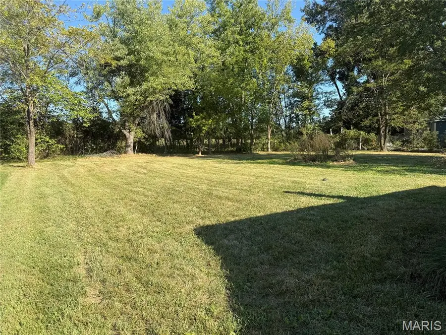 1107 Willow Street, Fredericktown, MO 63645 - #3