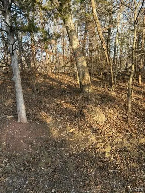 1818 N Lake Sherwood Drive, Marthasville, MO 63357 - #2