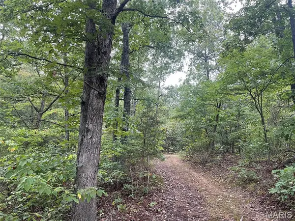 X Cr 339, Piedmont, MO 63957