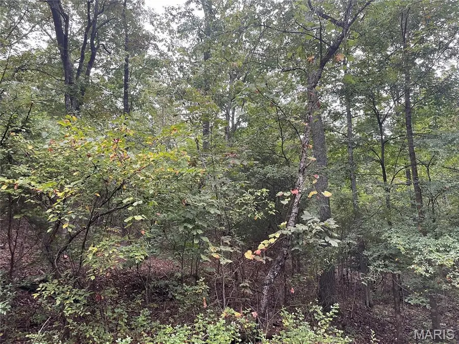 X Cr 339, Piedmont, MO 63957 - #2