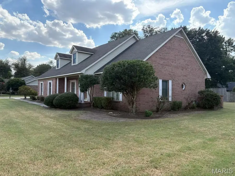 603 Kristina Reed Street, Hayti, MO 63851 - #3