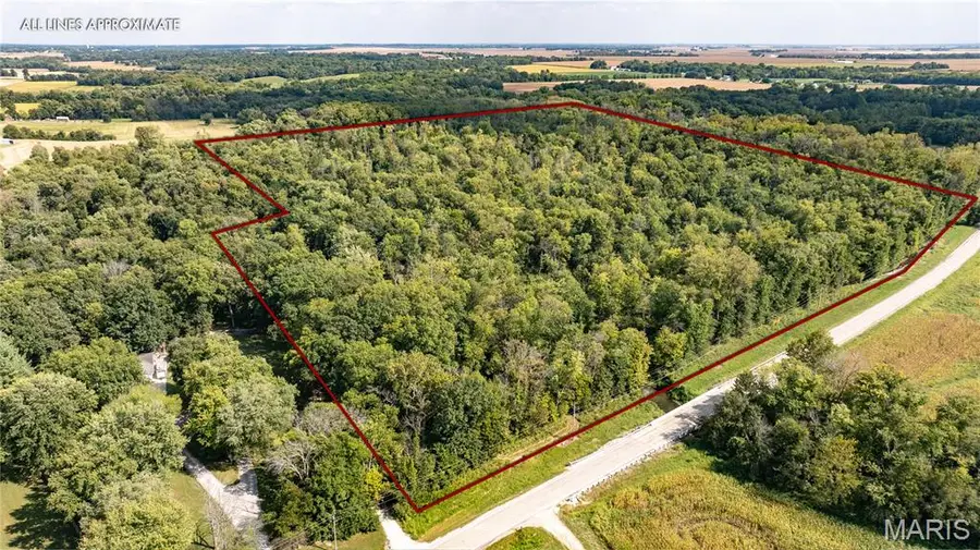 TBD Marine Road, Highland, IL 62249 - #2