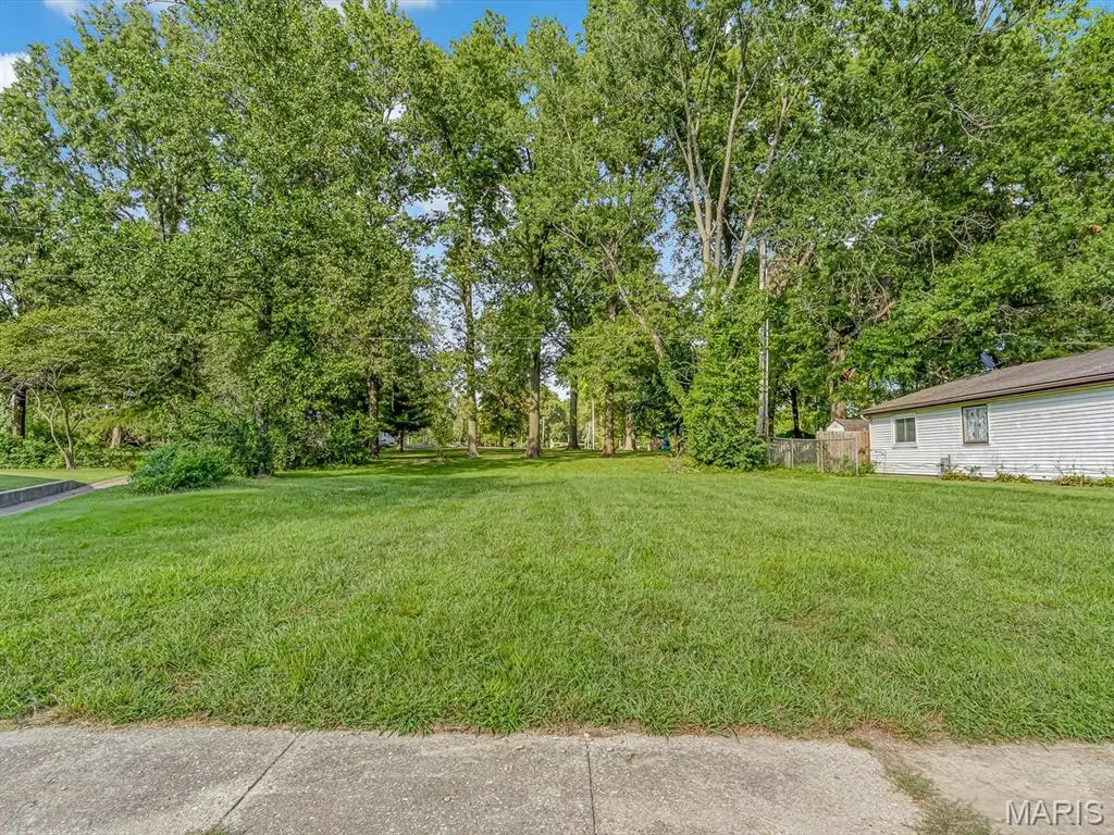 49 Scarlet Drive, Belleville, IL 62220 - #1