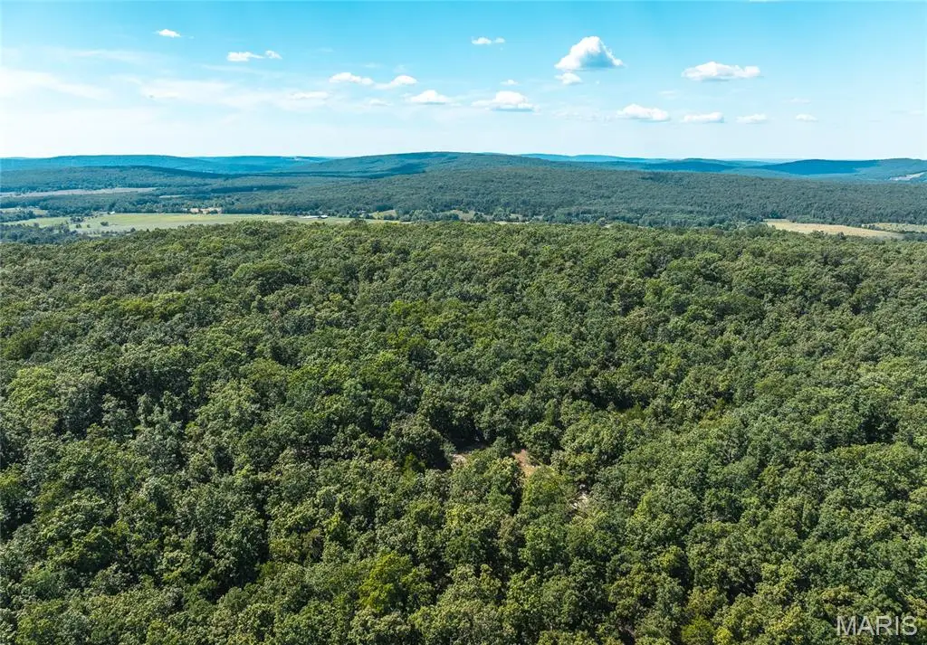 5 Buck Mountain Road, Doe Run, MO 63637 - #1