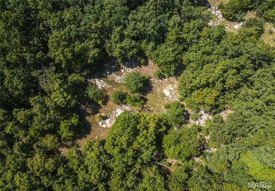 5 Buck Mountain Road, Doe Run, MO 63637 - #2