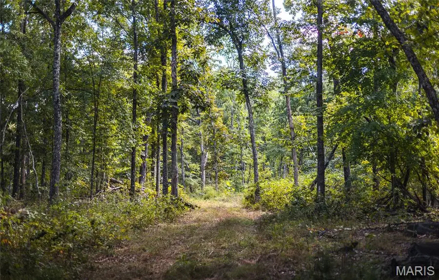 5 Buck Mountain Road, Doe Run, MO 63637 - #3