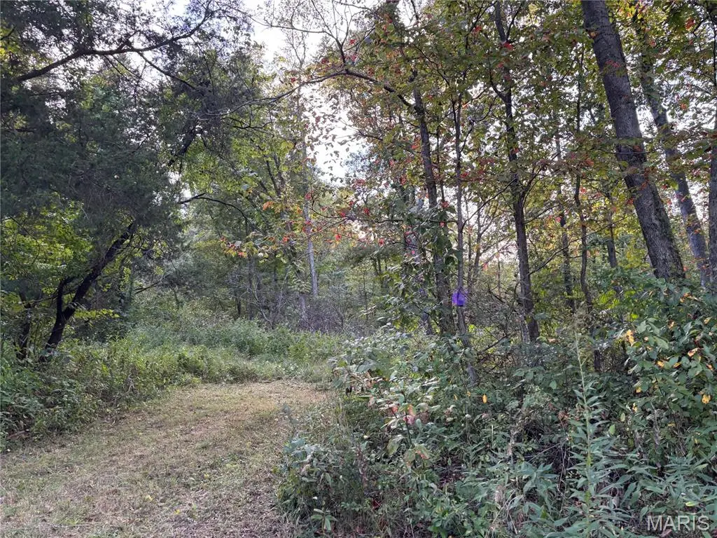3240 Highway O, Cuba, MO 65453 - #1