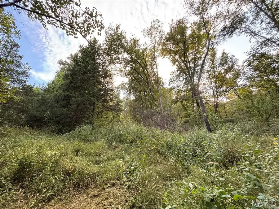 3240 Highway O, Cuba, MO 65453 - #2