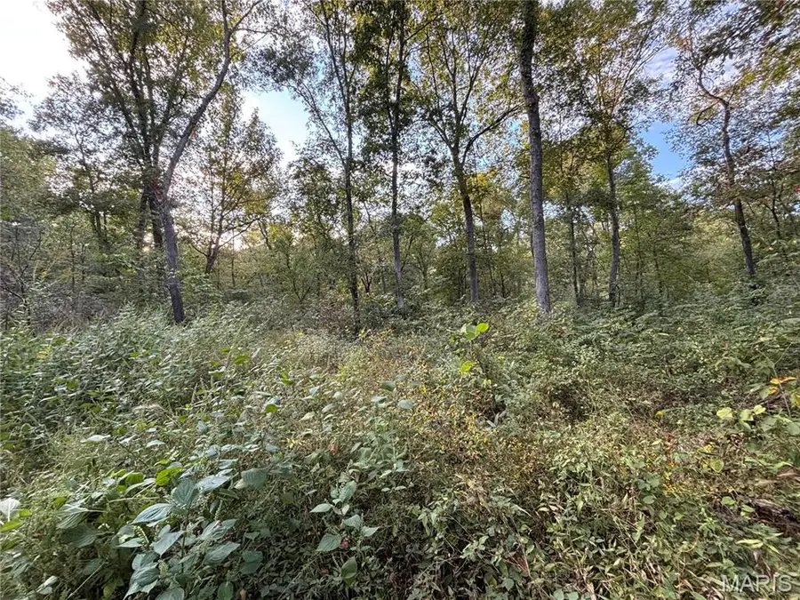 3240 Highway O, Cuba, MO 65453 - #3
