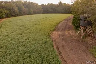 00 Abbott Road, Bellflower, MO 63333