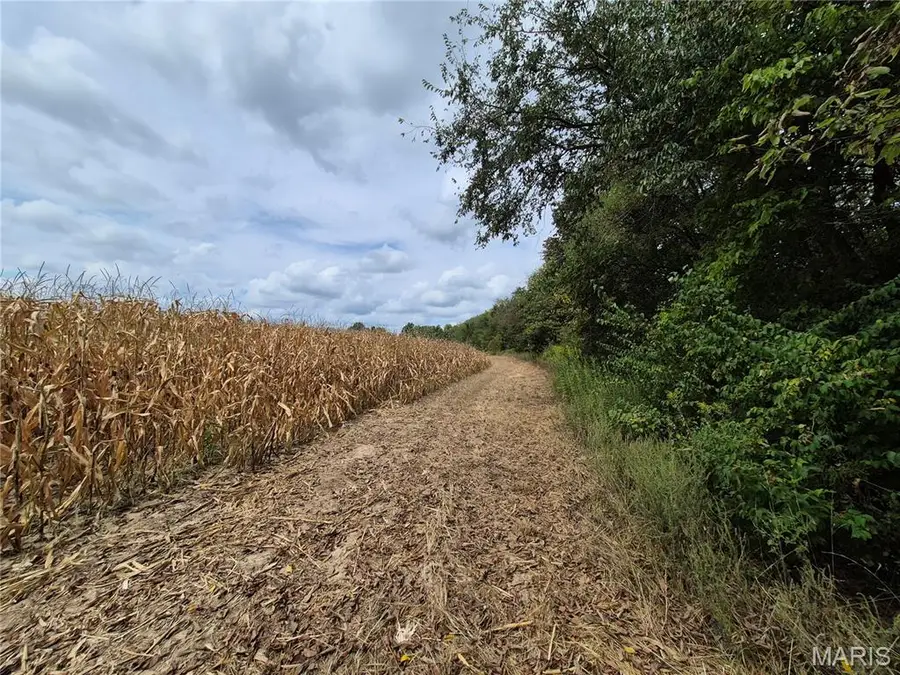 0 Russell Rd. (tract 5 - 24.80+/- Acres), Troy, MO 63379 - #3