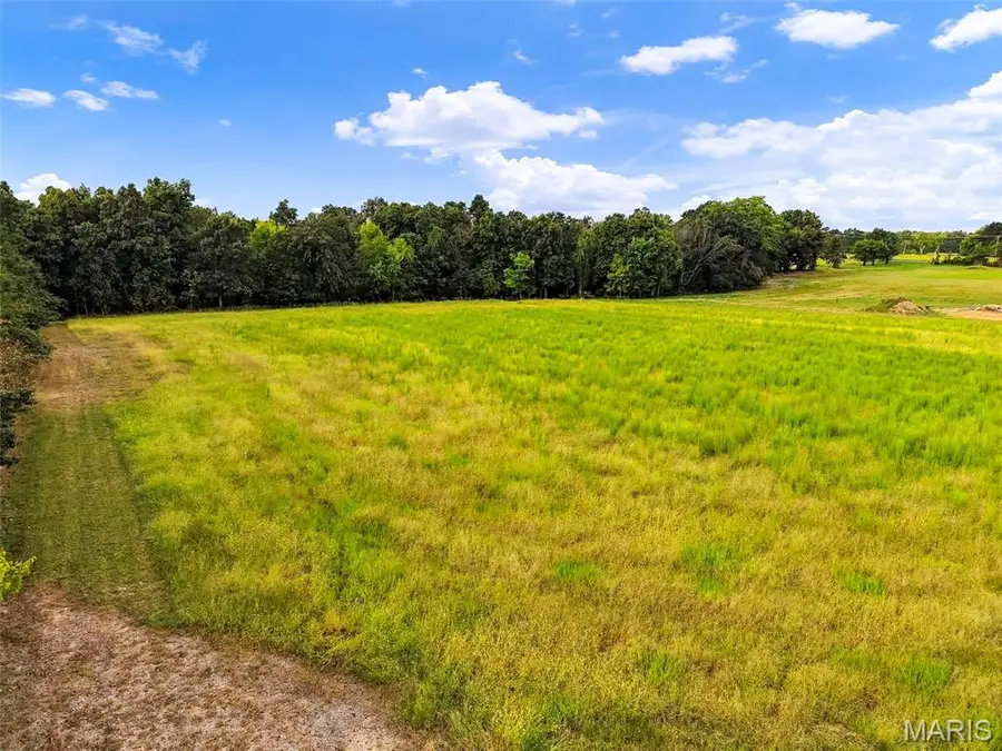 11304 Windsor Place, Wright City, MO 63390 - #3