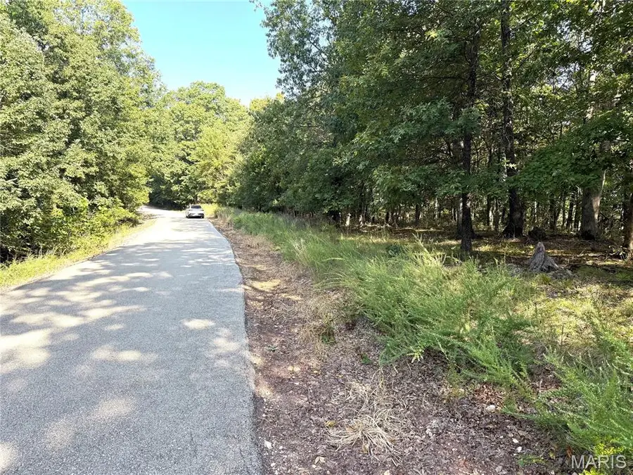 19017 Old Wild Turkey Lane, Wildwood, MO 63069 - #3