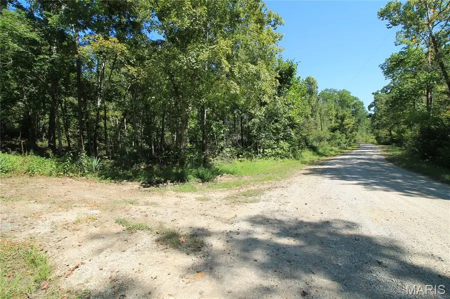 000 Coldwater Creek_lot 4, Womack, MO 63645 - #2