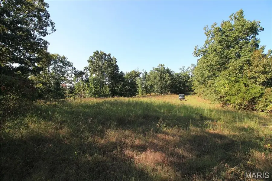 000 Coldwater Creek_lot 4, Womack, MO 63645 - #3