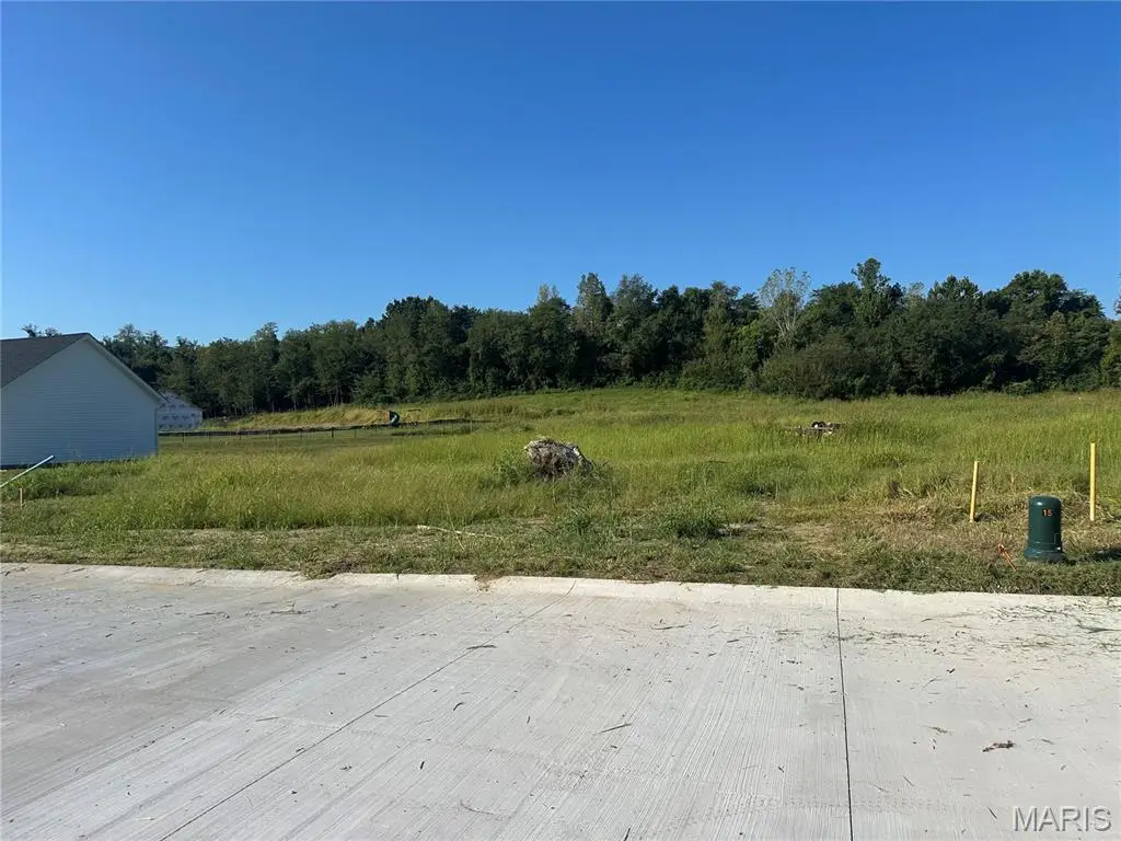 53 Lakeway Drive, Labadie, MO 63055 - #1