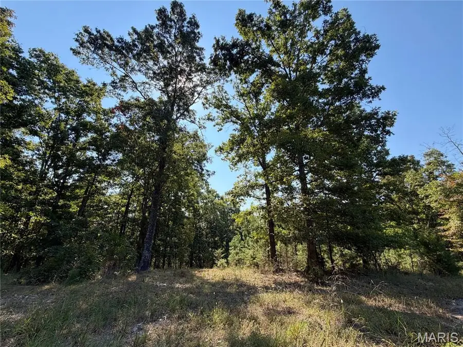 0 County Road 502, Ellington, MO 63638 - #3