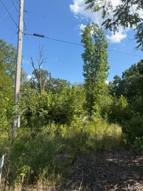 0 Edwards Rd., Hermann, MO 65041 - #3