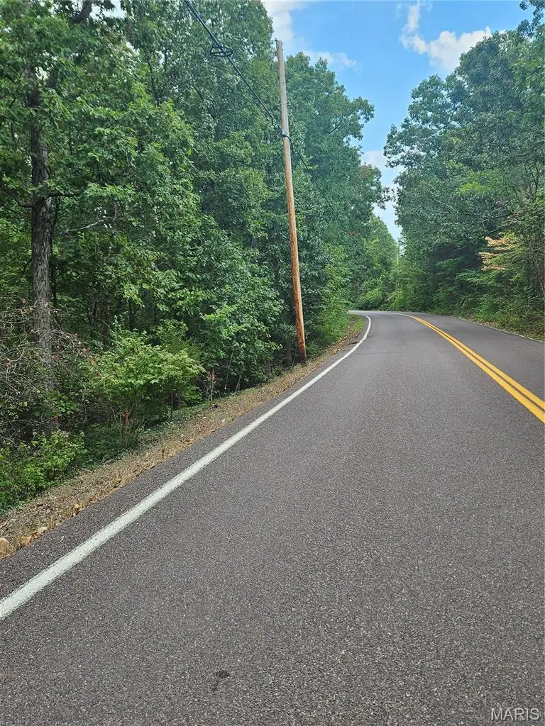 5195 Hillsboro Hematite Road, De Soto, MO 63020 - #3
