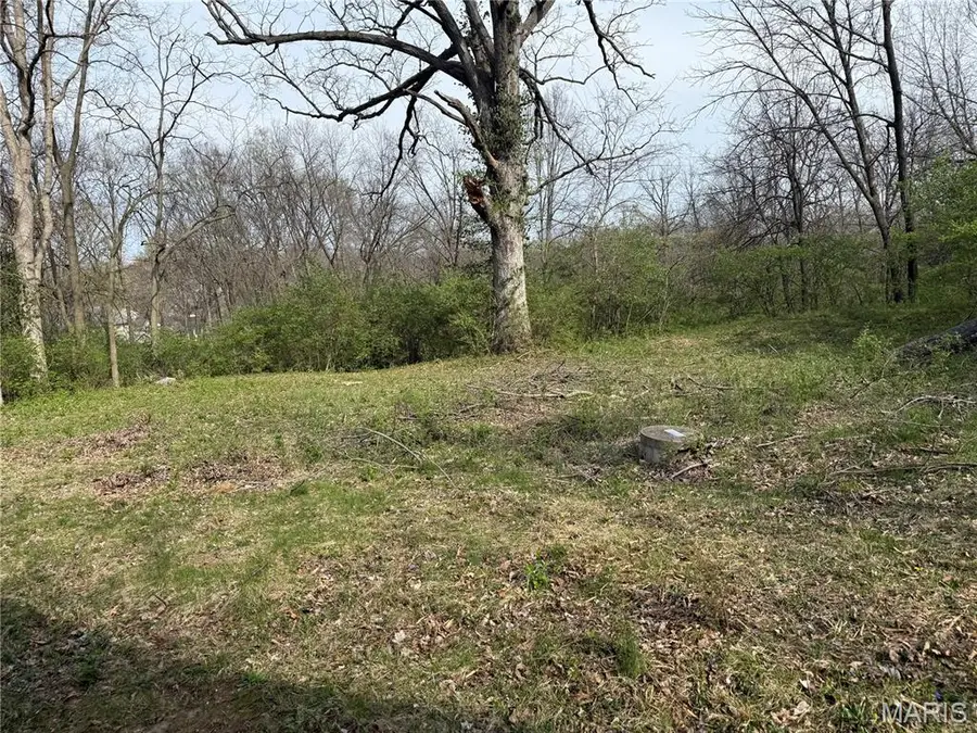 1925 W Woodbine Avenue, Kirkwood, MO 63122 - #3