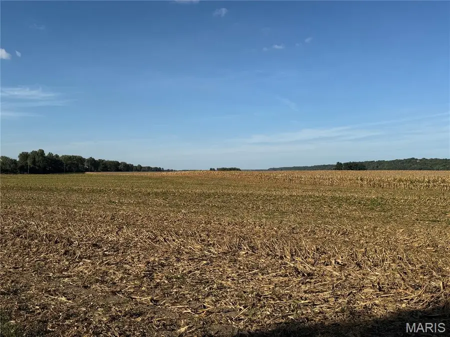 00 B Road, Valmeyer, IL 62295 - #2