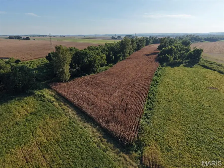 00 B Road, Valmeyer, IL 62295 - #3