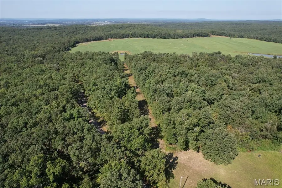 Off County Road 219, Fredericktown, MO 63645 - #2