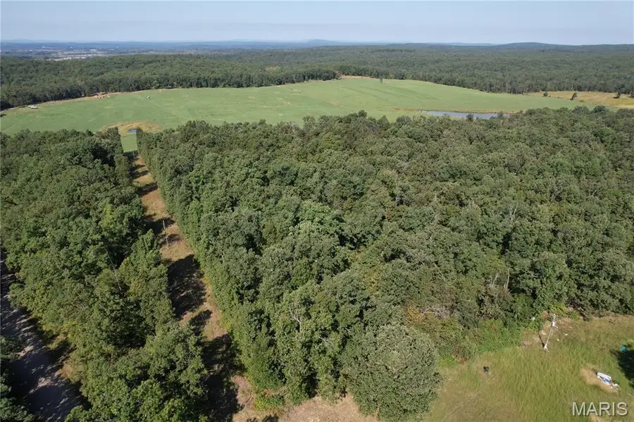 Off County Road 219, Fredericktown, MO 63645 - #3