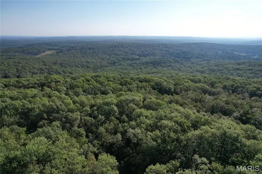 1055 Ritter Creek Lane, Park Hills, MO 63601 - #2