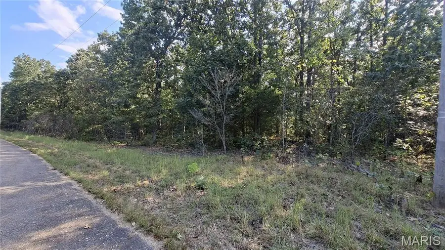 00 Oak Ridge Dr, Bonne Terre, MO 63628 - #3